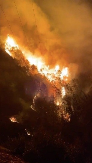 Alanya'da büyük orman yangını...